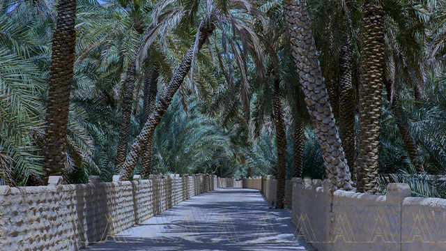 Al Ain Oasis